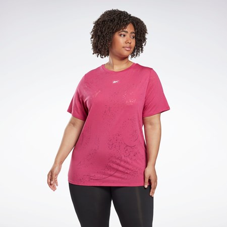 Reebok Burnout T-Shirt (Plus Size) Ruzove | TNYXC8951