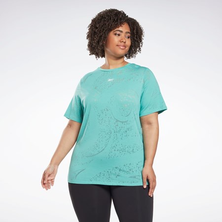 Reebok Burnout T-Shirt (Plus Size) Semi Classic Teal | ICKOQ8267