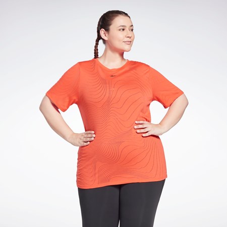 Reebok Burnout T-Shirt (Plus Size) Červené | WZJUC5947