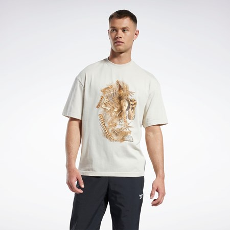 Reebok Jurassic World Fossil T-Shirt Stucco | VJCWA1527