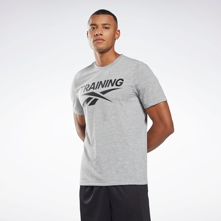 Reebok Reebok Grafika Series T-Shirt Siva | HNAWX7314