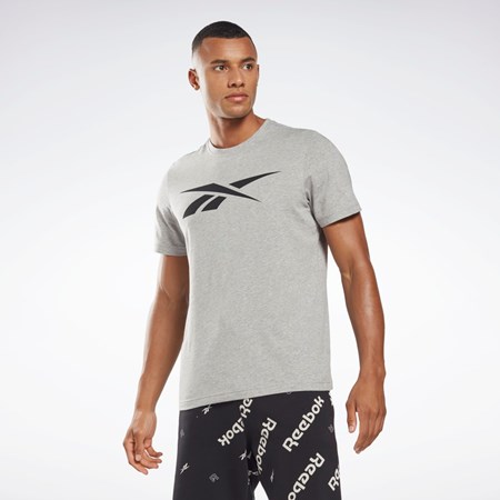 Reebok Reebok Grafika Series Vector T-Shirt Siva | NXGHJ2537