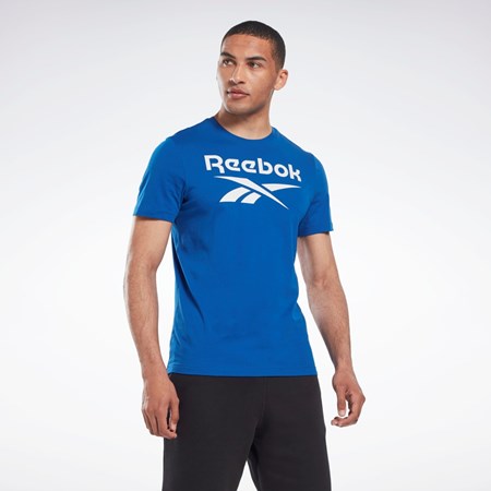 Reebok Reebok Identity Big Logo T-Shirt Modre | GVKCY3791