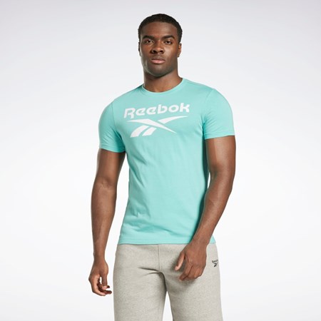 Reebok Reebok Identity Big Logo T-Shirt Semi Classic Teal | JRBIT2169