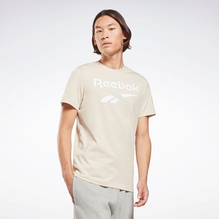 Reebok Reebok Identity Big Logo T-Shirt Stucco | TQYGL8259