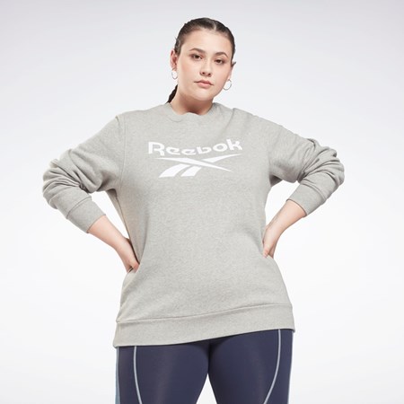 Reebok Reebok Identity Logo Fleece Crew Sweatshirt (Plus Size) Siva | EQKXI6137