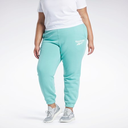 Reebok Reebok Identity Logo Fleece Joggers (Plus Size) Semi Classic Teal | HASDQ5097