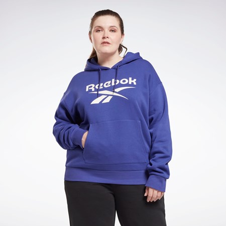 Reebok Reebok Identity Logo Fleece Pullover Hoodie (Plus Size) Nachový | CYTXW0472