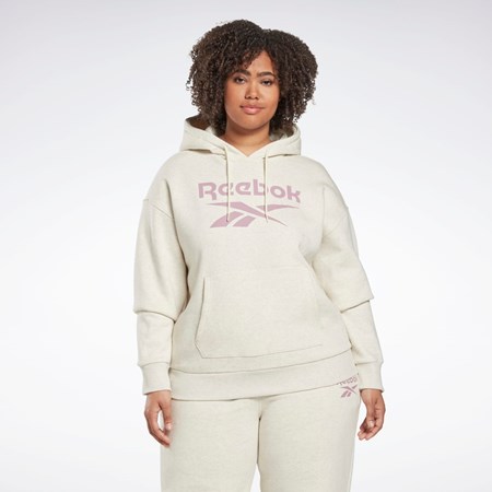 Reebok Reebok Identity Logo Fleece Pullover Hoodie (Plus Size) Biele | DVCGP4016