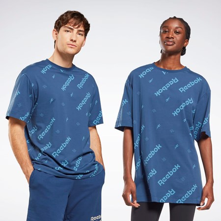 Reebok Reebok Identity T-Shirt Modre | SGKNF1578