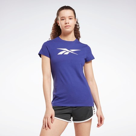 Reebok Tréningová Essentials Vector Grafika Tee Nachový | QXRMP2631