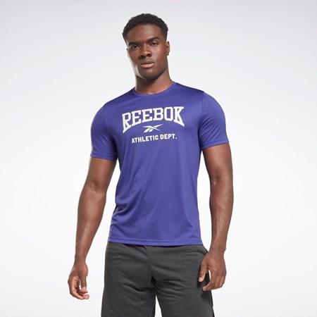 Reebok Workout Ready Grafika T-Shirt Nachový | ZRDGQ3460